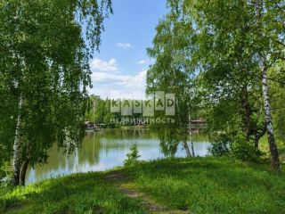 Продается кирпичный дом подключена канализация асфальтная дорога фото 30 Домодедово