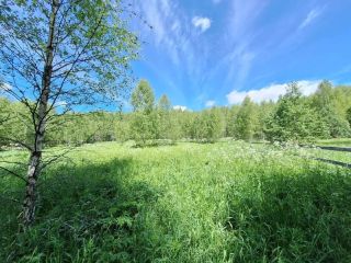 Продается зем участок удобный подъезд фото 3 Солнечногорск