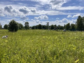 Продается зем участок есть документы электричество подведено фото 4 Волоколамск
