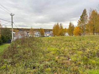 Продаю зем участок рассрочка рядом асфальт фото 2 Всеволожск