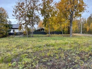 Продаю зем участок рассрочка рядом асфальт фото 3 Всеволожск