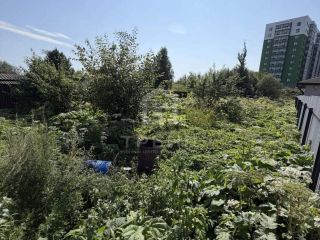 Продается участок земли асфальтная дорога фото 7 Всеволожск