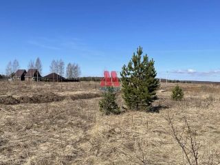 Продаю земельный участок удобный подъезд фото 5 Ярославль