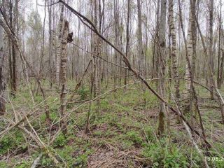 Продаю зем участок под индивидуальное жилищное строительство в садовом некоммерческом товариществе фото 5 Талдом