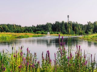 Продается земельный участок рассрочка фото 16 Выборг