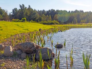 Продам земельный участок рассрочка фото 5 Выборг