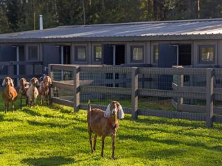 Продам земельный участок рассрочка фото 19 Выборг
