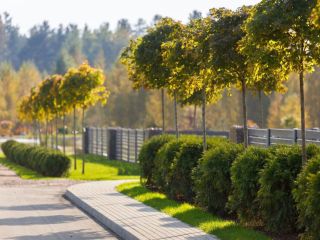 Продам участок земли рассрочка фото 17 Выборг