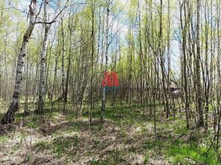 Продается зем участок в садовом некоммерческом товариществе фото 2 Ярославль