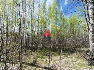 Продается зем участок в садовом некоммерческом товариществе фото 3 Ярославль