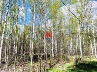 Продается зем участок в садовом некоммерческом товариществе фото 4 Ярославль