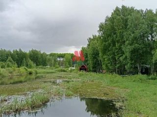 Продается земельный участок асфальтная дорога фото 2 Ярославль