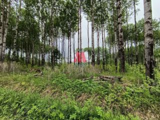 Продается земельный участок асфальтная дорога фото 6 Ярославль