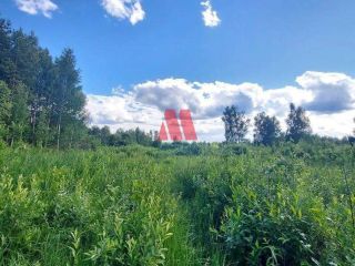 Продается земельный участок в садовом некоммерческом товариществе фото 4 Ярославль