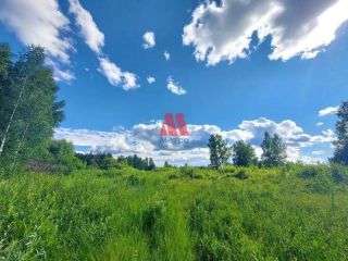 Продается земельный участок в садовом некоммерческом товариществе фото 6 Ярославль