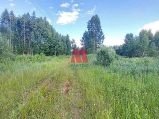 Продается земельный участок в садовом некоммерческом товариществе фото 8 Ярославль