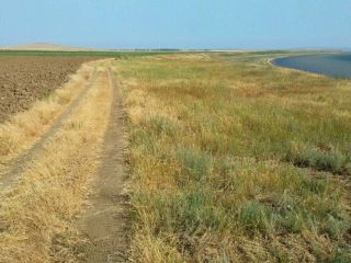 Продаю участок земли рядом асфальт под индивидуальное жилищное строительство фото 2 Темрюк