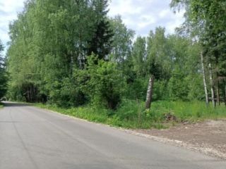 Продам зем участок в садовом некоммерческом товариществе фото 2 Москва