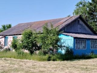 Продаю нежилое помещение фото 4 Курган