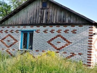 Продаю нежилое помещение фото 6 Курган