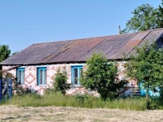 Продаю нежилое помещение фото 10 Курган