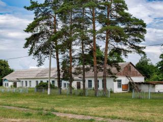 Продаю помещение свободного назначения фото Липецк