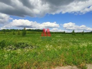 Продам земельный участок под личное подсобное хозяйство документы готовы фото 10 Ярославль