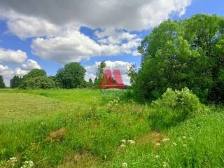Продам земельный участок под личное подсобное хозяйство документы готовы фото 14 Ярославль