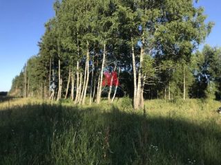 Продаю зем участок рядом лес с коммуникациями фото Ярославль