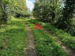 Продаю зем участок рядом асфальт под личное подсобное хозяйство фото 4 Ярославль