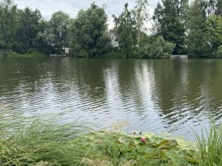 Продается дом имеется баня фото 19 Раменское