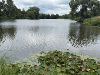 Продается дом имеется баня фото 20 Раменское