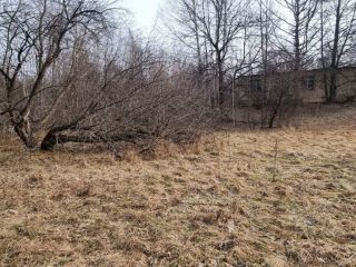 Продам нежилое помещение подключена канализация фото 5 Луховицы