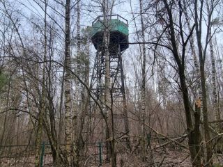 Продам нежилое помещение подключена канализация фото 10 Луховицы
