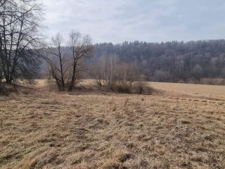 Продам нежилое помещение подключена канализация фото 14 Луховицы