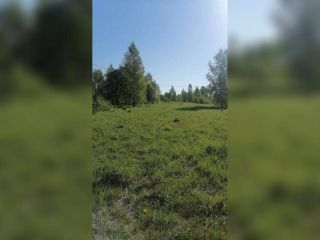Продам участок земли фото Сергиев Посад
