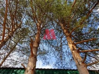 Продам кирпичный дом имеется охрана видеонаблюдение фото 12 Ярославль