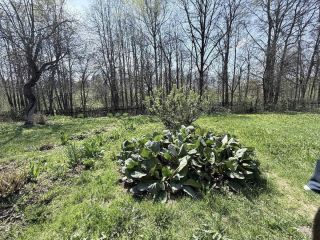 Продаю участок земли удобное расположение под индивидуальное жилищное строительство фото 6 Москва