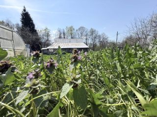 Продаю участок земли удобное расположение под индивидуальное жилищное строительство фото 7 Москва