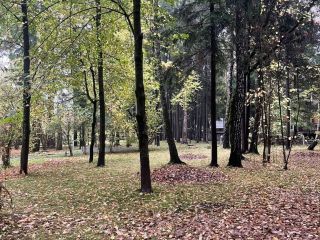 Продается зем участок под индивидуальное жилищное строительство своя скважина фото 6 Одинцово