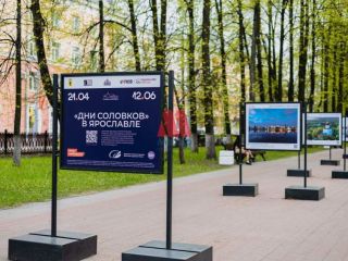 Сдам 4 комнатную квартиру с газовым отоплением с мебелью фото 24 Ярославль