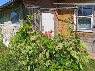 Продается деревянный дом с плодоносящим садом фото 24 Ярославль