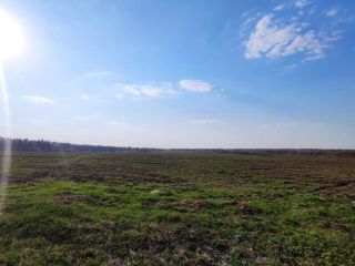 Продаю земельный участок рядом асфальт фото 5 Сергиев Посад