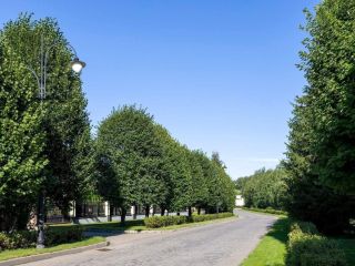 Продам кирпичный коттедж подключена канализация фото 10 Истра