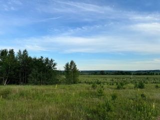 Продаю зем участок в дачном некоммерческом партнерстве фото Серпухов