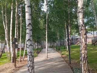Продам дом панорамные окна подключена канализация фото 18 Истра