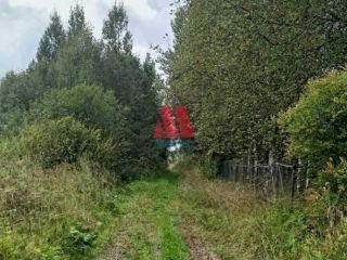 Продаю дом взрослый собственник фото 24 Тутаев