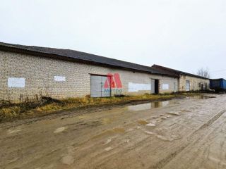 Сдам помещение под офис свободного назначения фото 8 Гаврилов-Ям
