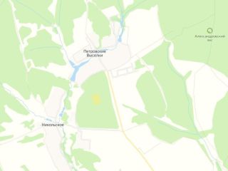 Продаю земельный участок рядом лес фото Деревня Петровские Выселки