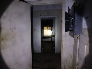 Сдается помещение свободного назначения есть электричество с коммуникациями фото 6 Санкт-Петербург